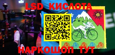 шишки Бийск