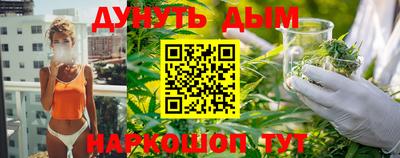 шишки Бийск