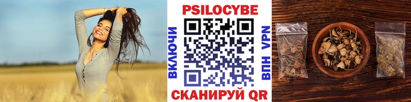 Купить  Тольятти  Псилоцибиновые грибы прущие грибы 