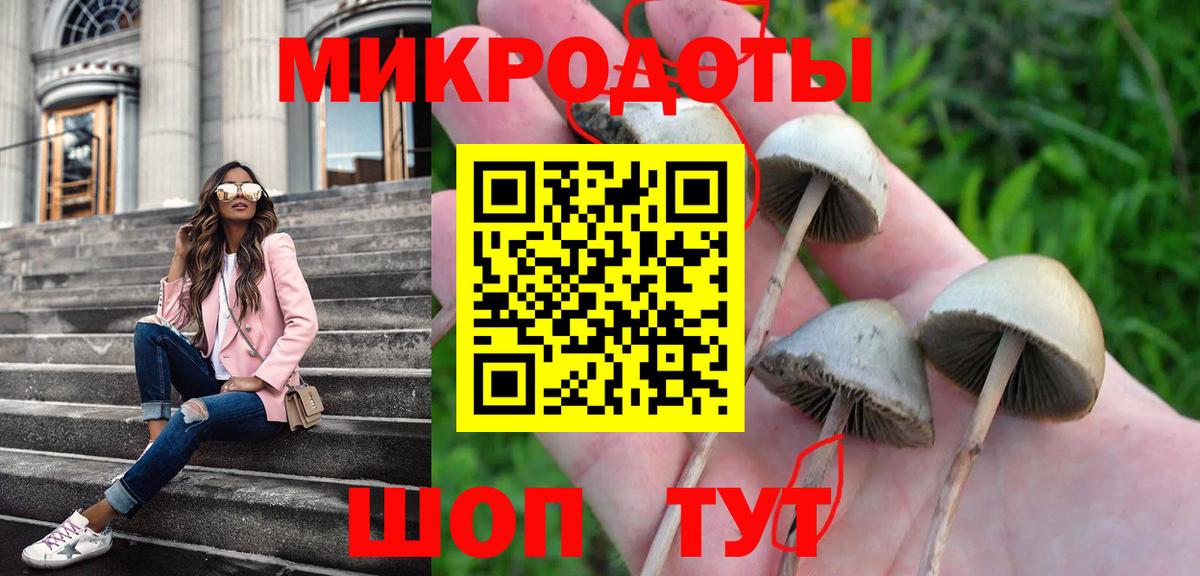 где найти наркотики  Галлюциногенные грибы Psilocybine cubensis  Вход с VPN  Тольятти 